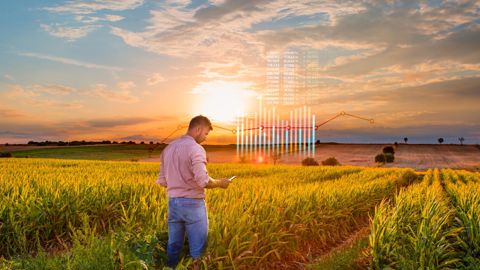 La gestion des pneus pèse dans la rentabilité d’une entreprise agricole, plus qu’on ne pourrait le croire. © Shutterstock